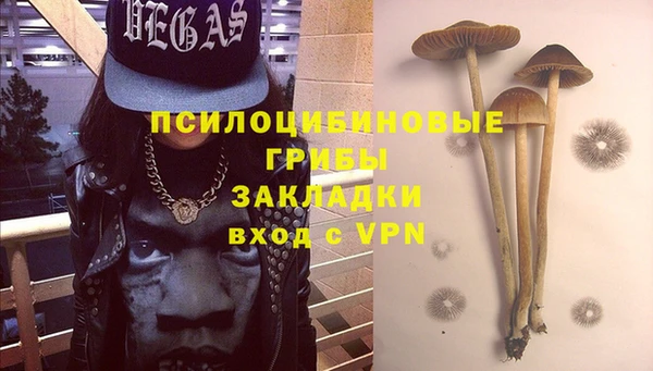 мдпв Волосово