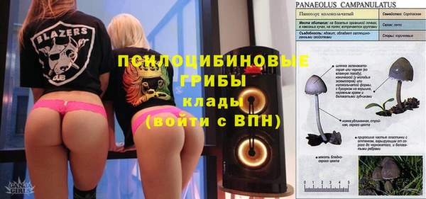 мдпв Волосово