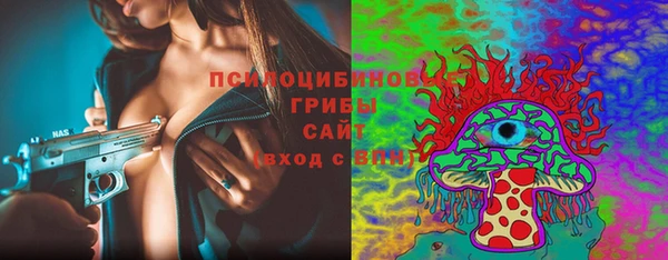 мдпв Волосово