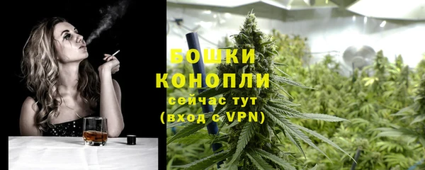 мдпв Волосово