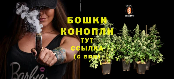 мдпв Волосово