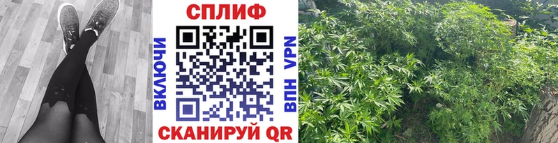Бошки Шишки гибрид  Купить где  Трубчевск 